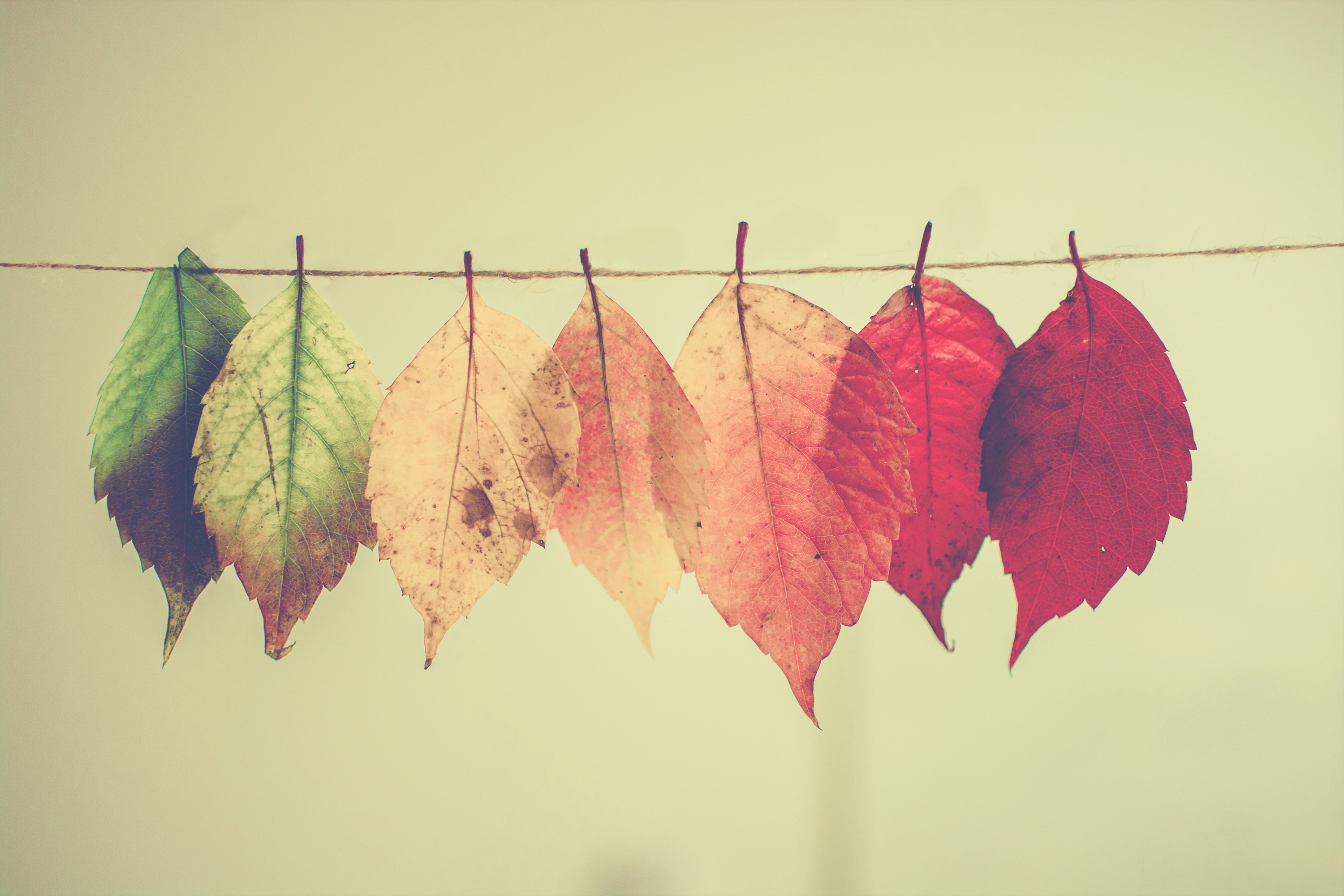 Gestion du changement quelques éléments clés à considérer